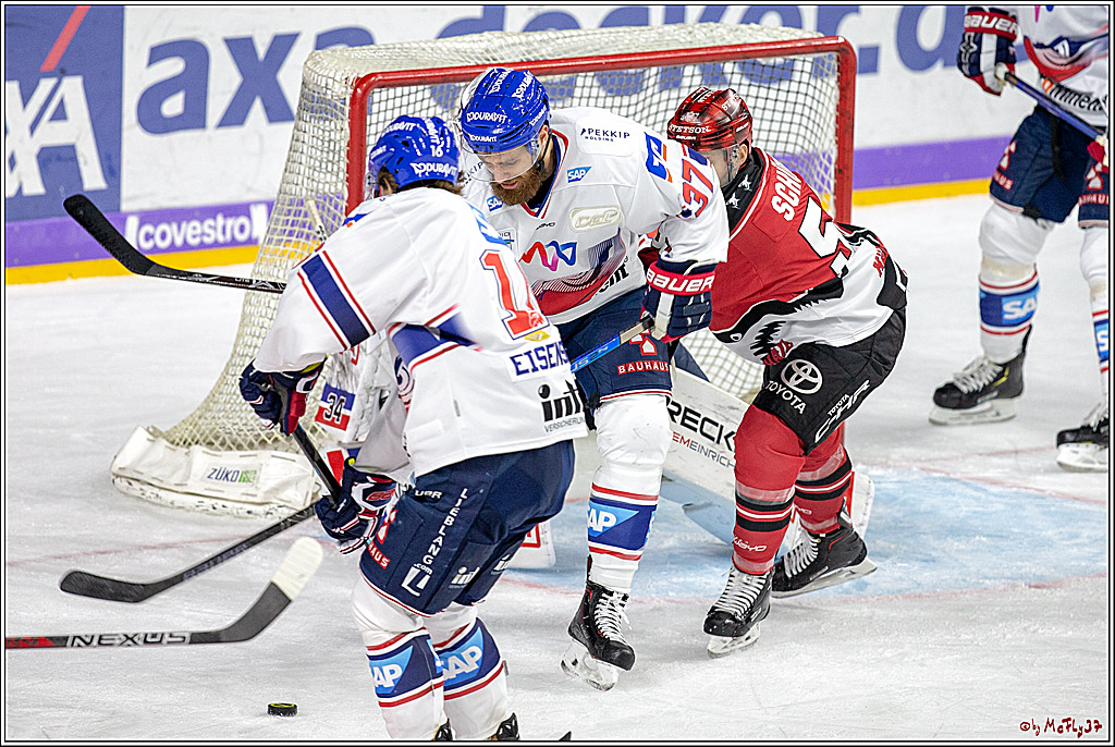 DEL; Koelner Haie - Adler Mannheim, 14.10.2018